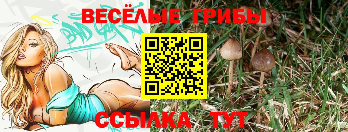 Галлюциногенные грибы мухоморы Киржач