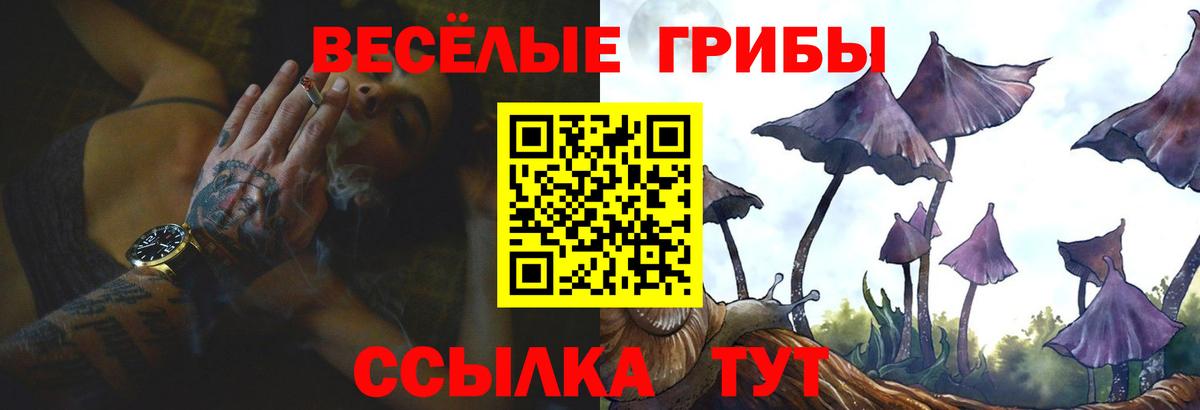 Киржач  Псилоцибиновые грибы прущие грибы  Вход с VPN 